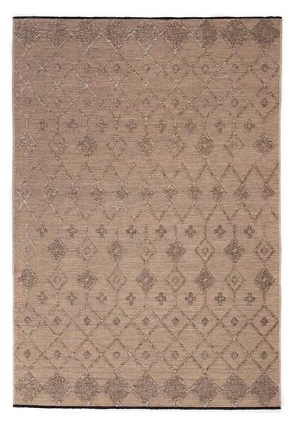 Χαλί All Season (200x240) Royal Carpet Gloria Cotton 35 Mink