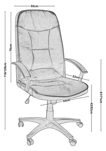 ΚΑΡΕΚΛΑ ΓΡΑΦΕΙΟΥ BF1200 EO506-7 65x68x116/126cm