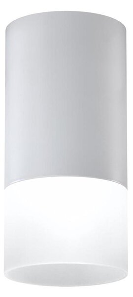 Σποτ TUBA 1xGU10/15W/230V γκρι/λευκό