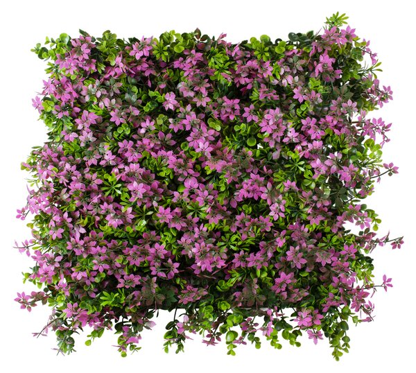 GloboStar® Artificial Garden CYPHEA HYSSOPIFOLIA 20350 Τεχνητό Διακοσμητικό Πάνελ Λουλουδιών - Κάθετος Κήπος σύνθεση Άνθος Κουφέας Μ50 x Π50 x Υ11cm