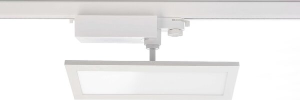 Deko-Light LED Panel TRACK LIGHT, λευκό, 3 φάσεις, 4.000 K, on/off, Λευκό, Διάδρομος, Μέταλλο, σύγχρονο