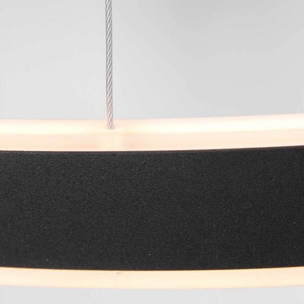 Steinhauer LED κρεμαστό φωτιστικό Ringlux Ø 60cm 2-φωτο μαύρο, ρυθμιζόμενος, Μαύρο, Σαλόνι / τραπεζαρία, Μέταλλο, σύγχρονο