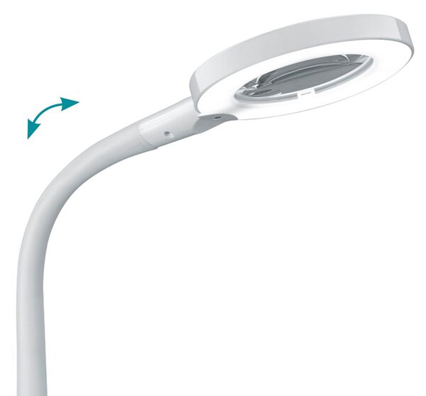 Πορτατίφ Γραφείου Trio Lighting Lupo 527290101 Λευκό