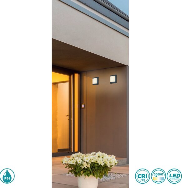 Απλίκα Εξωτερικού Χώρου Trio Lighting Hondo 228960142 Ανθρακί