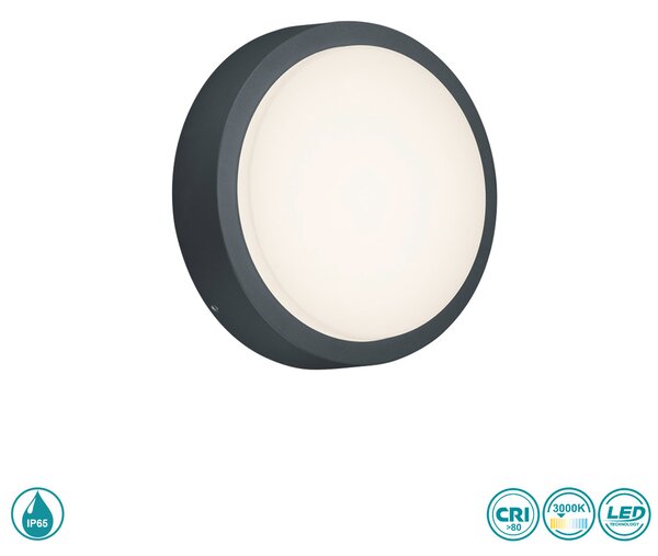 Απλίκα Εξωτερικού Χώρου Trio Lighting Breg 227260142 Ανθρακί