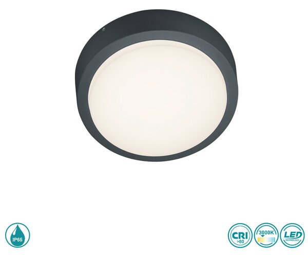 Απλίκα Εξωτερικού Χώρου Trio Lighting Breg 227260142 Ανθρακί