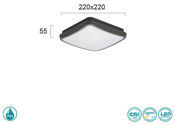 Φωτιστικό Οροφής Εξωτερικού Χώρου Viokef Tibuok 4197700 Ανθρακί