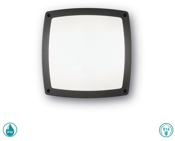 Φωτιστικό Οροφής Εξωτερικού Χώρου Ideal Lux Cometa 082240 Ανθρακί