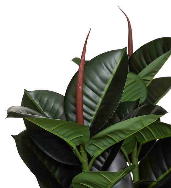 Τεχνητό Δέντρο (Φ40x120) A-S Ficus Robusta 181460