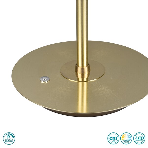 Πορτατίφ Γραφείου Trio Lighting Monza 523310108 Οξυντέ