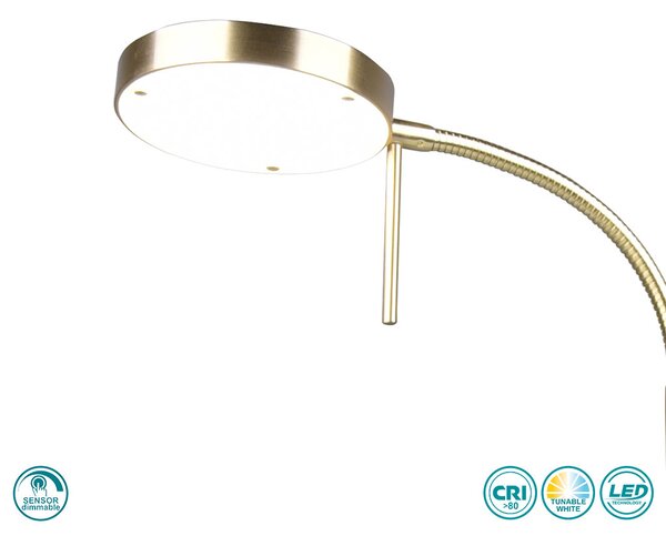 Πορτατίφ Γραφείου Trio Lighting Monza 523310108 Οξυντέ