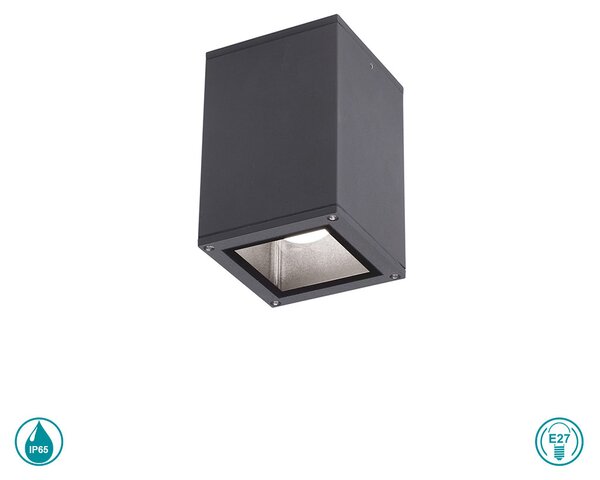 Φωτιστικό Οροφής Εξωτερικού Χώρου Gea Luce Amon GES1010 Ανθρακί