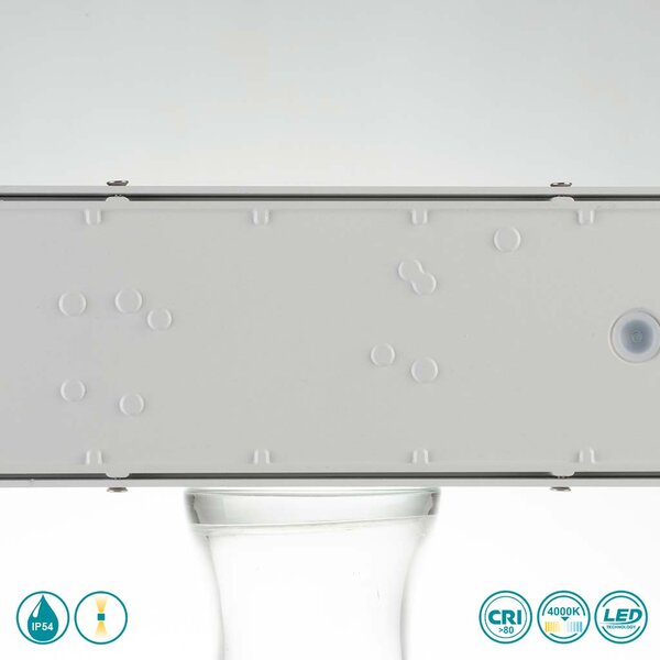 Απλίκα Εξωτερικού Χώρου Intec LED-W-Twin-XL NIK 8031414864362 Νίκελ Βουρτσιστό (4000K)