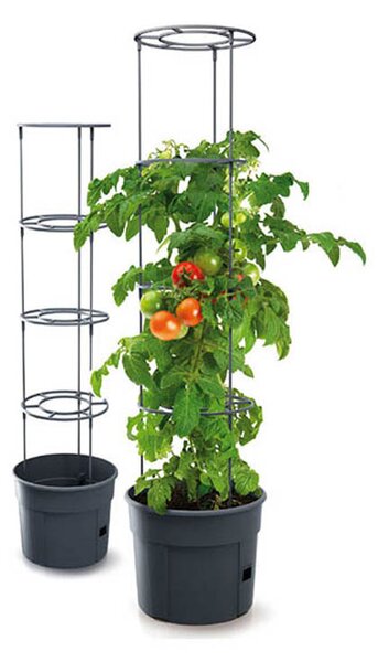 Γλάστρα Αναρριχώμενων Φυτών (Φ29.5x23.6-115.2) Marhome Tomato Grower 09-IPOM300-S433