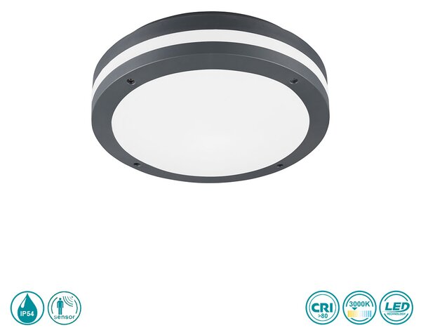 Φωτιστικό Οροφής Εξωτερικού Χώρου Trio Lighting Piave 676960142 Ανθρακί