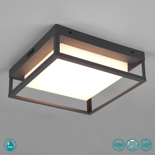 Φωτιστικό Οροφής Εξωτερικού Χώρου Trio Lighting Witham 677860142 Ανθρακί
