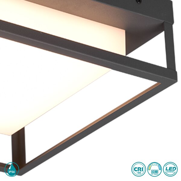 Φωτιστικό Οροφής Εξωτερικού Χώρου Trio Lighting Witham 677860142 Ανθρακί