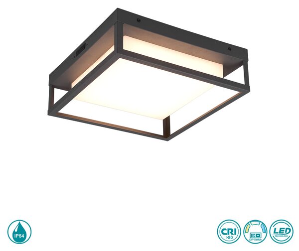 Φωτιστικό Οροφής Εξωτερικού Χώρου Trio Lighting Witham 677860142 Ανθρακί