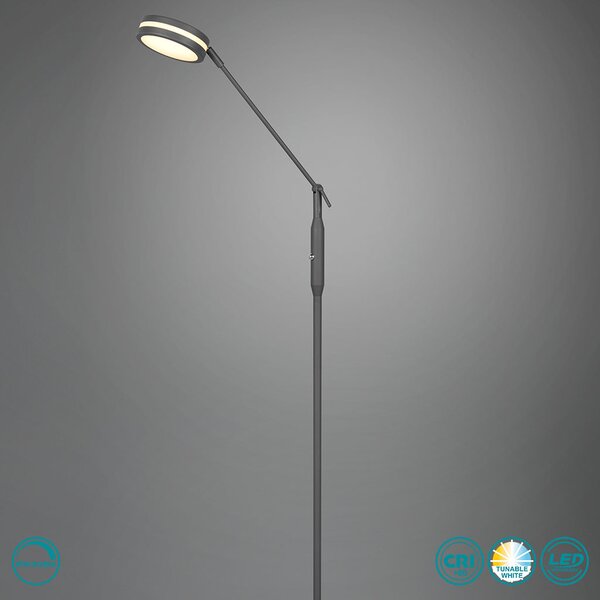 Φωτιστικό Δαπέδου Trio Lighting Franklin 426510142 Ανθρακί