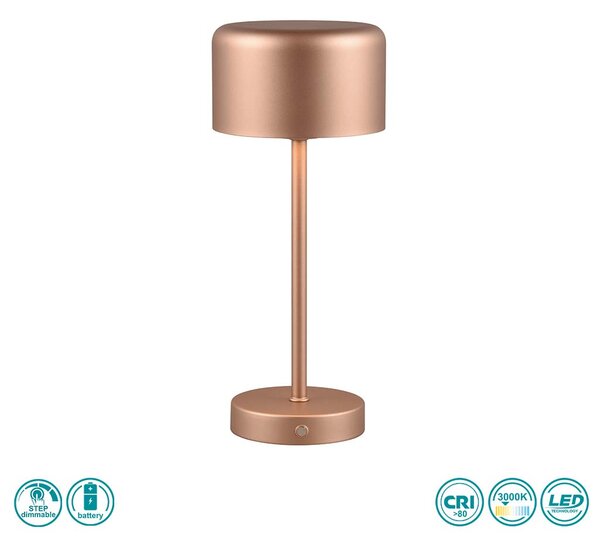 Φωτιστικό Επιτραπέζιο Επαναφορτιζόμενο RL Lighting Jeff R59151165 Καφέ