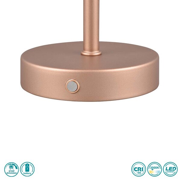 Φωτιστικό Επιτραπέζιο Επαναφορτιζόμενο RL Lighting Jeff R59151165 Καφέ