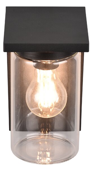 Φωτιστικό Επίτοιχο Trio Lighting ARDILA 211660132 Μαύρο Ματ (Black Mat)