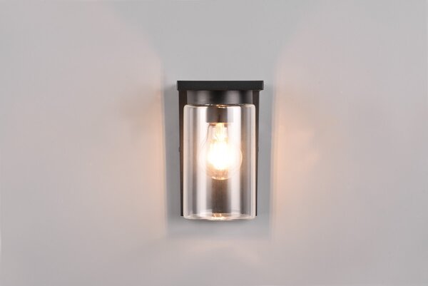 Φωτιστικό Επίτοιχο Trio Lighting ARDILA 211660132 Μαύρο Ματ (Black Mat)