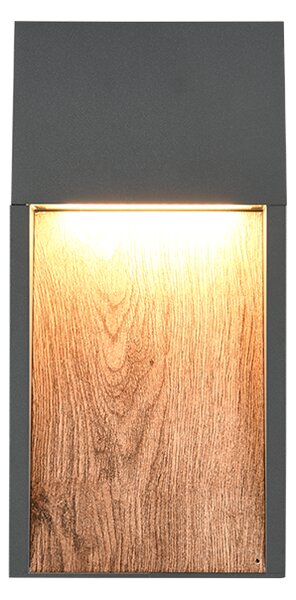 Φωτιστικό Επίτοιχο Trio Lighting SALMON 246960135 Απομίμηση Ξύλου (Wood Imitation) 3000K