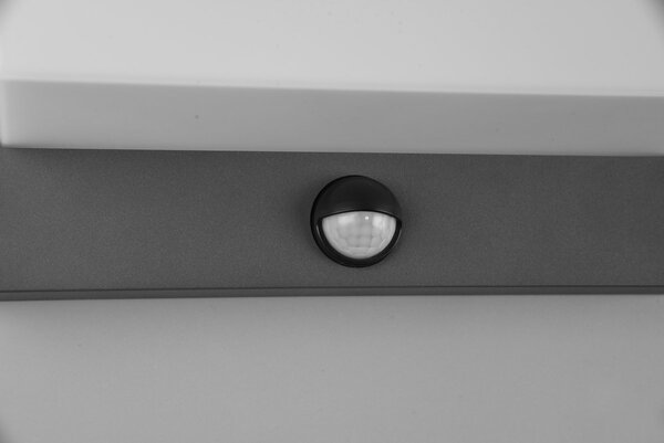 Φωτιστικό Επίτοιχο Trio Lighting NESTOS 240969142 Ανθρακί (Anthracite) 3000K