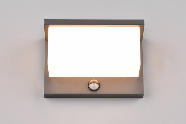 Φωτιστικό Επίτοιχο Trio Lighting NESTOS 240969142 Ανθρακί (Anthracite) 3000K