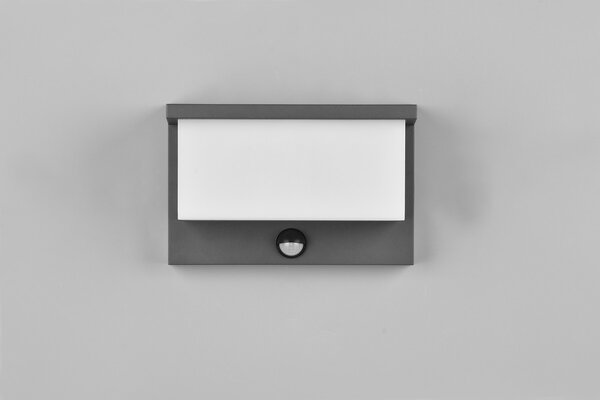 Φωτιστικό Επίτοιχο Trio Lighting NESTOS 240969142 Ανθρακί (Anthracite) 3000K