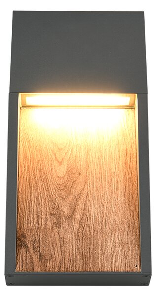 Φωτιστικό Επίτοιχο Trio Lighting SALMON 246960135 Απομίμηση Ξύλου (Wood Imitation) 3000K