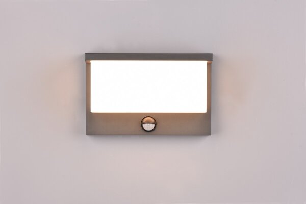 Φωτιστικό Επίτοιχο Trio Lighting NESTOS 240969142 Ανθρακί (Anthracite) 3000K