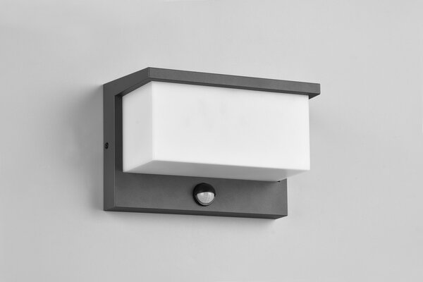Φωτιστικό Επίτοιχο Trio Lighting NESTOS 240969142 Ανθρακί (Anthracite) 3000K
