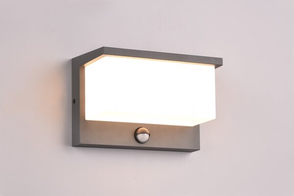 Φωτιστικό Επίτοιχο Trio Lighting NESTOS 240969142 Ανθρακί (Anthracite) 3000K