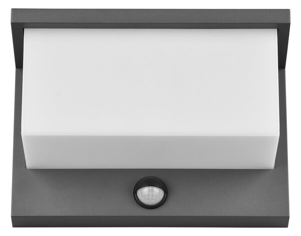 Φωτιστικό Επίτοιχο Trio Lighting NESTOS 240969142 Ανθρακί (Anthracite) 3000K