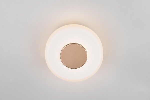 Φωτιστικό Επίτοιχο Trio Lighting CELESTE 254910165 Καφετί (Coffee) 3000K