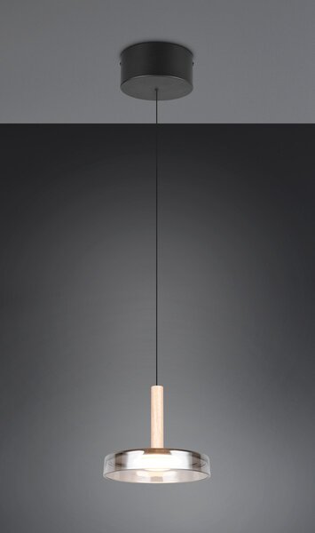 Φωτιστικό Κρεμαστό Trio Lighting CELESTE 354910132 Μαύρο Ματ (Black Mat) 3000K
