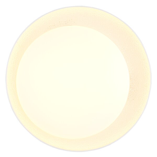 Φωτιστικό Οροφής Reality Lighting -RL ALETA R64611101 Λευκό (White) 2700 - 6500K