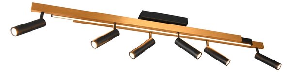 Φωτιστικό Οροφής Trio Lighting ZENO 648310780 Μαύρο Ματ (Black Mat) και Χρυσό Χρώμα (Gold Coloured) 2700 - 6500K