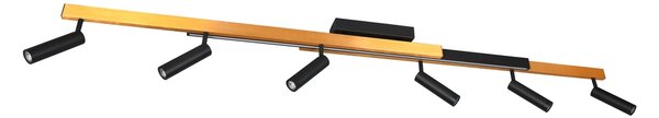 Φωτιστικό Οροφής Trio Lighting ZENO 648310780 Μαύρο Ματ (Black Mat) και Χρυσό Χρώμα (Gold Coloured) 2700 - 6500K