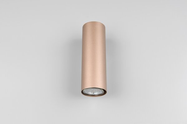 Φωτιστικό Επίτοιχο Trio Lighting MARLEY 212400265 Καφετί (Coffee)