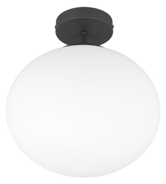 Φωτιστικό Οροφής Trio Lighting FOMENTO 663100132 Μαύρο Ματ (Black Mat)