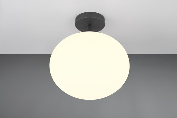 Φωτιστικό Οροφής Trio Lighting FOMENTO 663100132 Μαύρο Ματ (Black Mat)