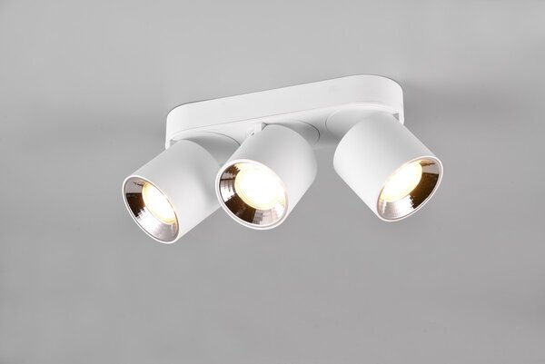 Φωτιστικό Οροφής Trio Lighting GUAYANA 651000331 Λευκό Ματ (White Mat)