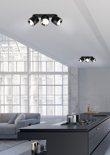 Φωτιστικό Οροφής Trio Lighting GUAYANA 651000332 Μαύρο Ματ (Black Mat)