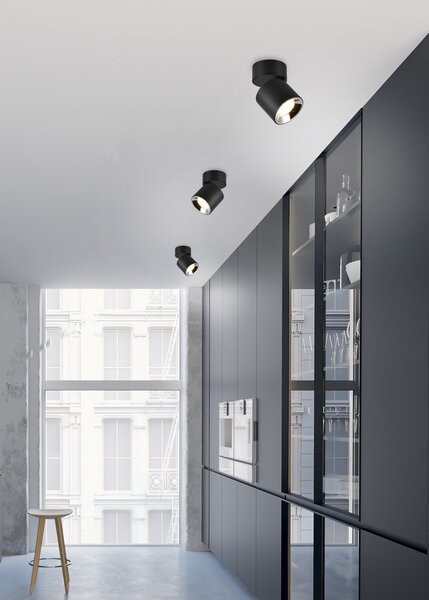 Φωτιστικό Οροφής Trio Lighting GUAYANA 651000132 Μαύρο Ματ (Black Mat)
