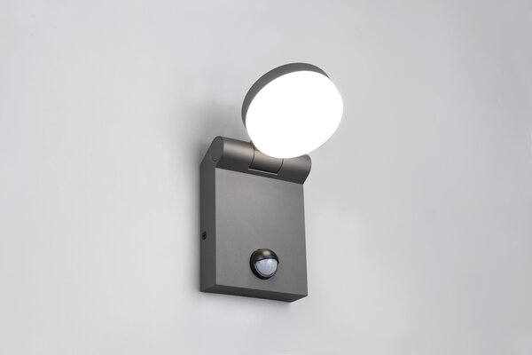 Φωτιστικό Επίτοιχο Trio Lighting ADOUR 245569142 Ανθρακί (Anthracite) 2300+3000+4000K