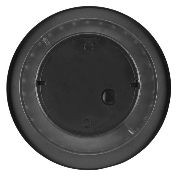 Φωτιστικό Επίτοιχο Trio Lighting BELLY 240660142 Ανθρακί (Anthracite) 3000K