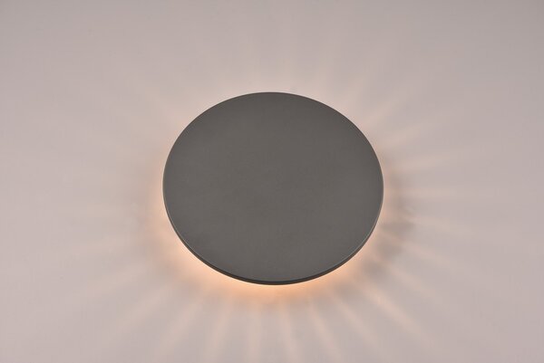 Φωτιστικό Επίτοιχο Trio Lighting BELLY 240660142 Ανθρακί (Anthracite) 3000K